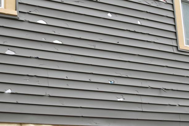 Best Demolition Debris Removal  in Pleasant Ridge, MI